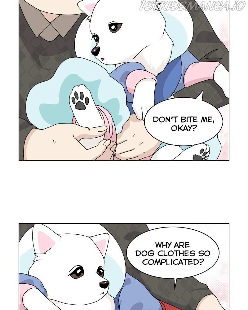 The Dog Diaries Chapter 62 - page 40
