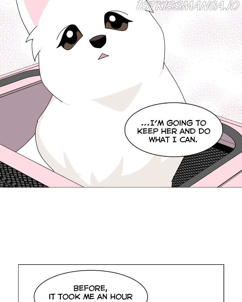 The Dog Diaries Chapter 61 - page 9