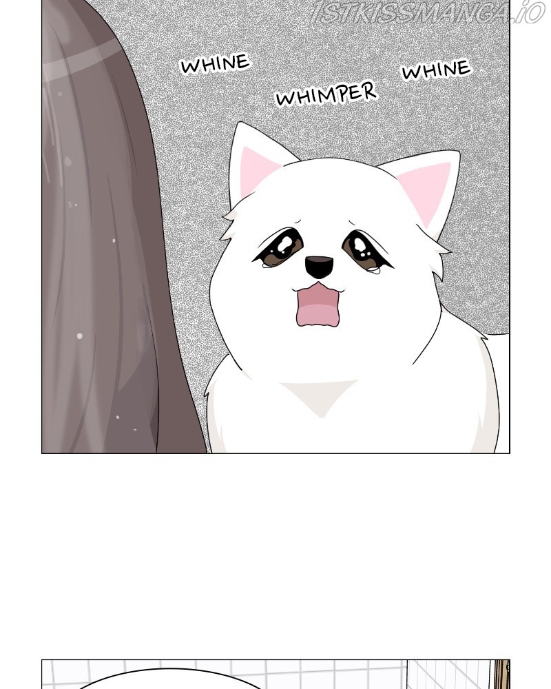 The Dog Diaries Chapter 60 - page 63