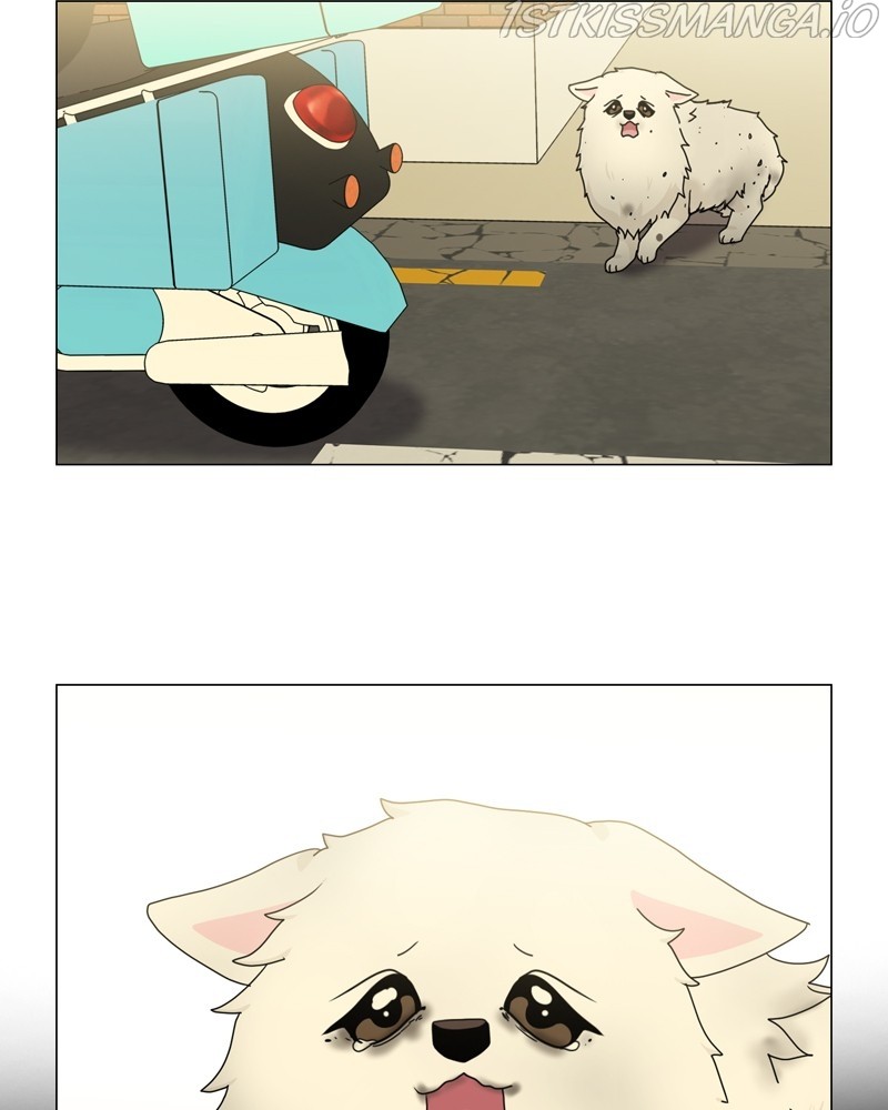 The Dog Diaries Chapter 59 - page 81