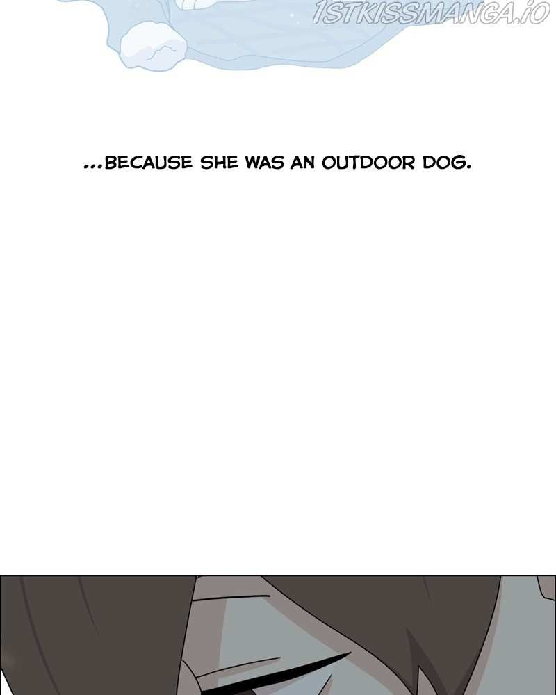 The Dog Diaries Chapter 54 - page 32