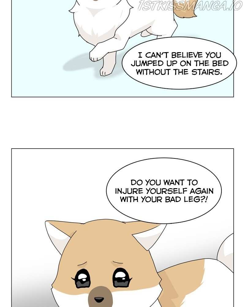 The Dog Diaries Chapter 54 - page 67