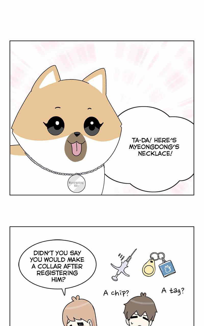 The Dog Diaries Chapter 9 - page 1