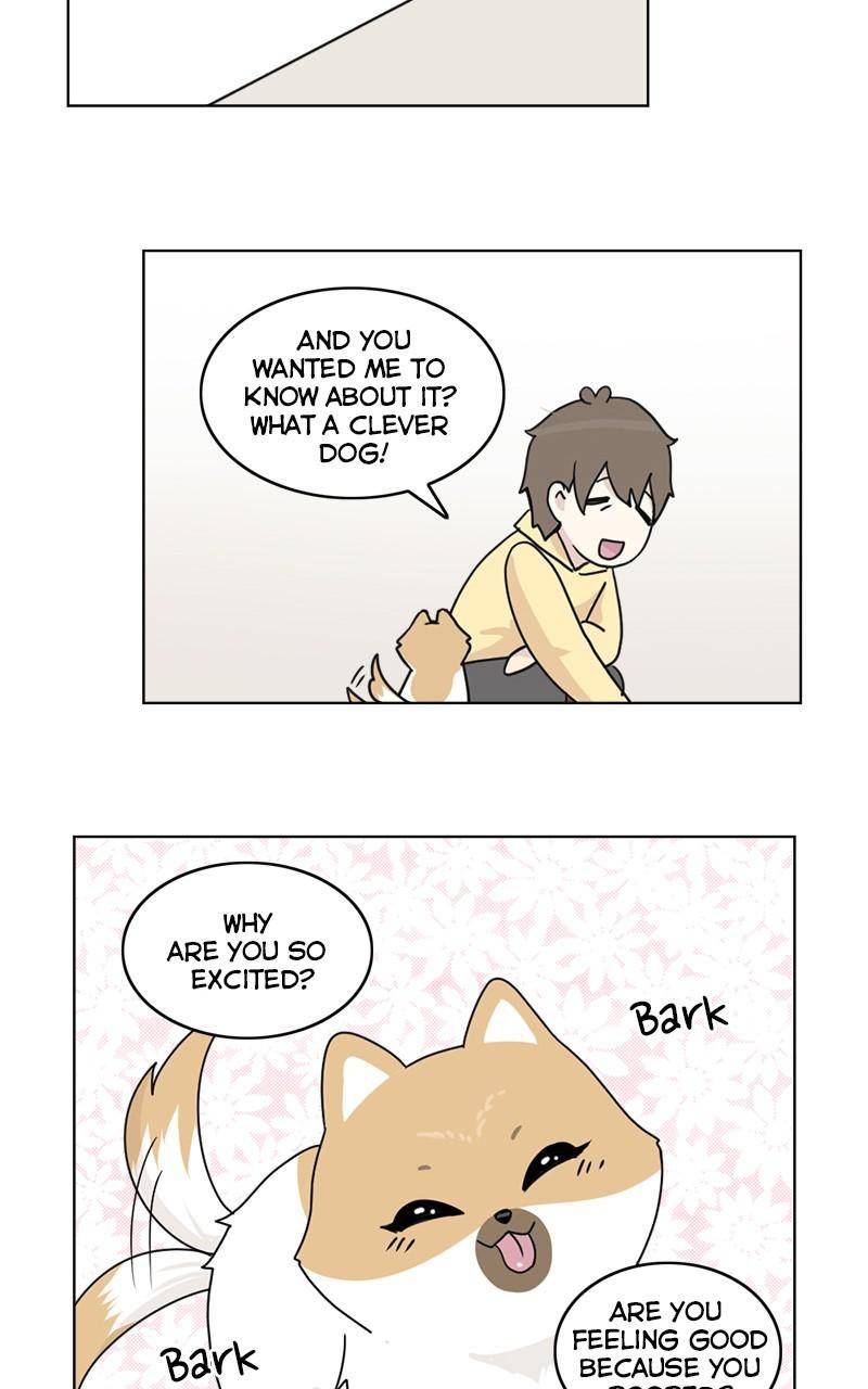 The Dog Diaries Chapter 9 - page 32