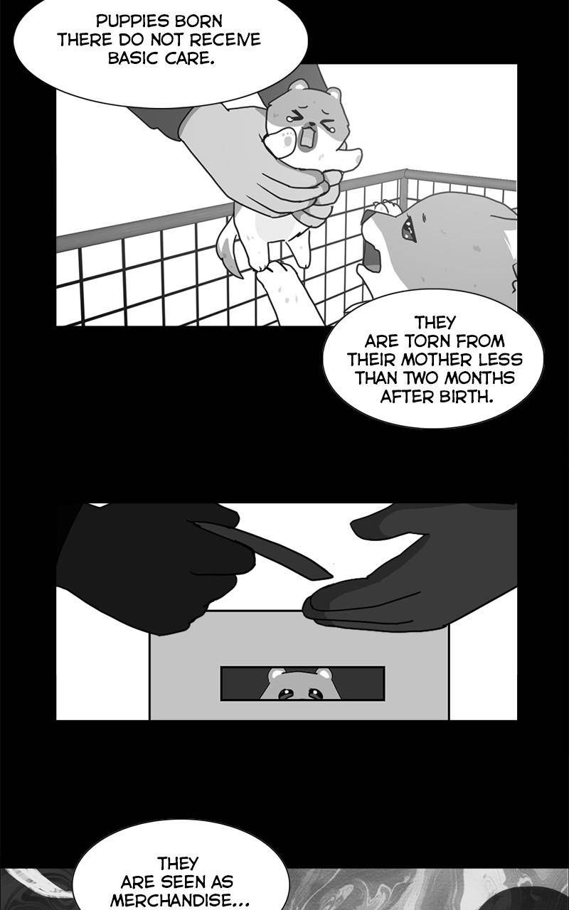 The Dog Diaries Chapter 2 - page 15