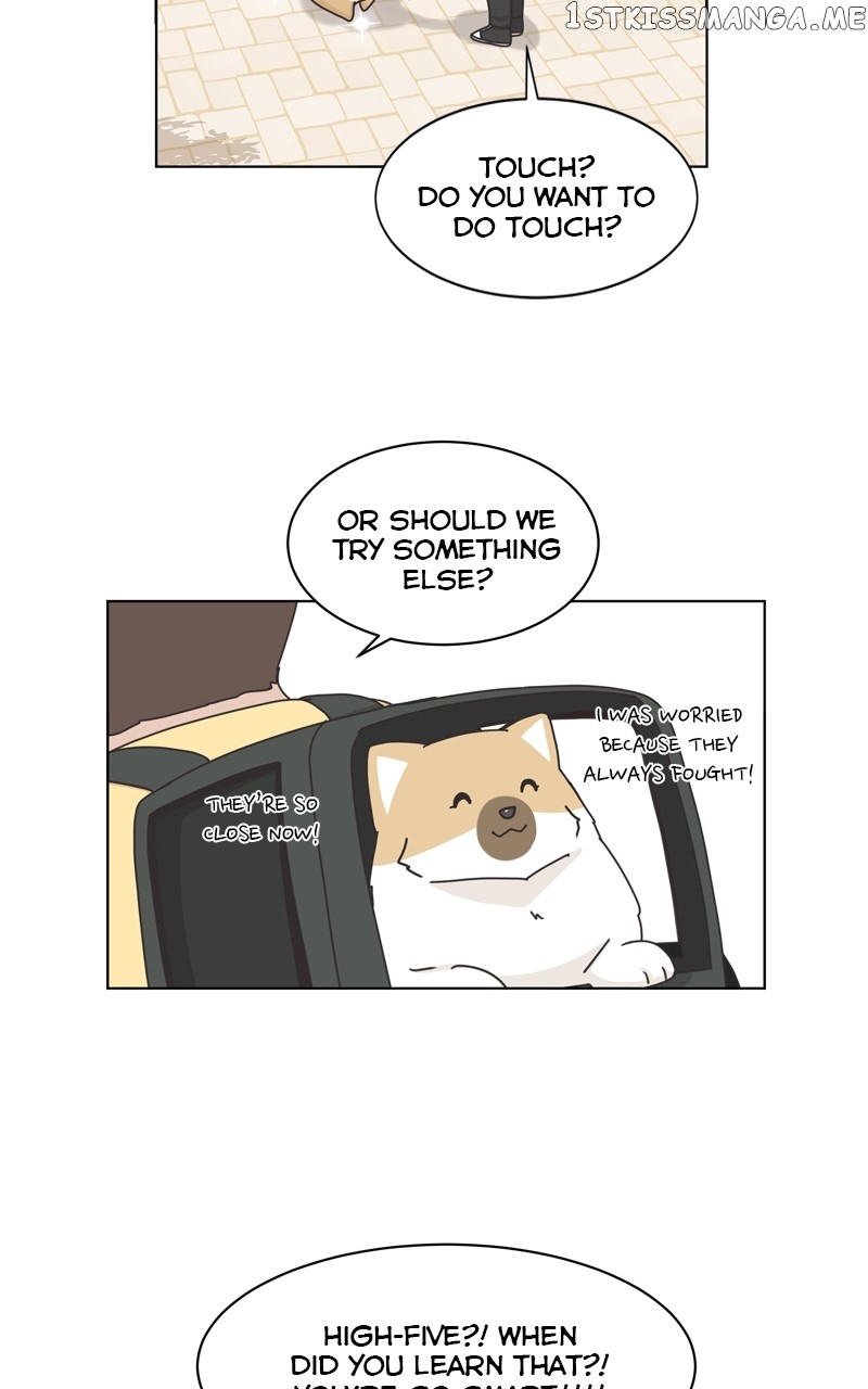 The Dog Diaries Chapter 114 - page 7