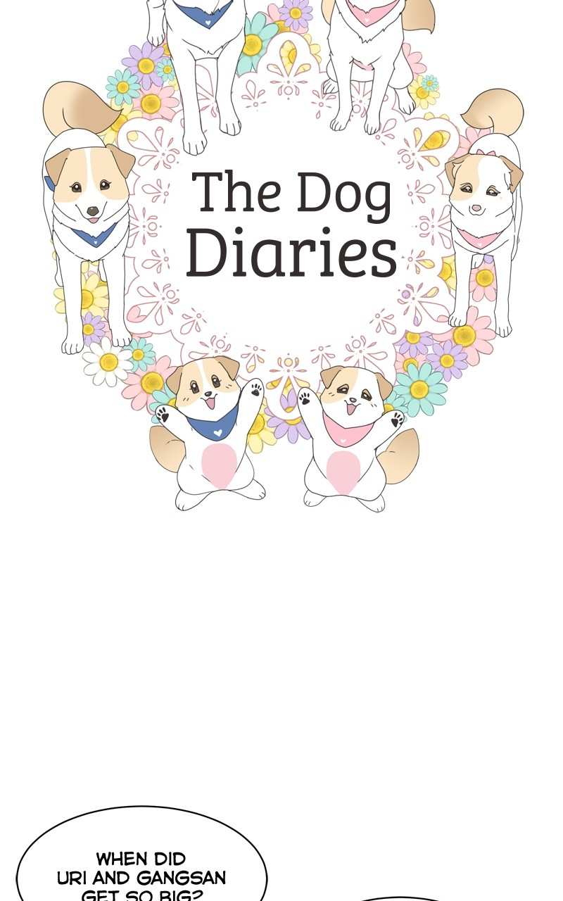 The Dog Diaries Chapter 115 - page 14