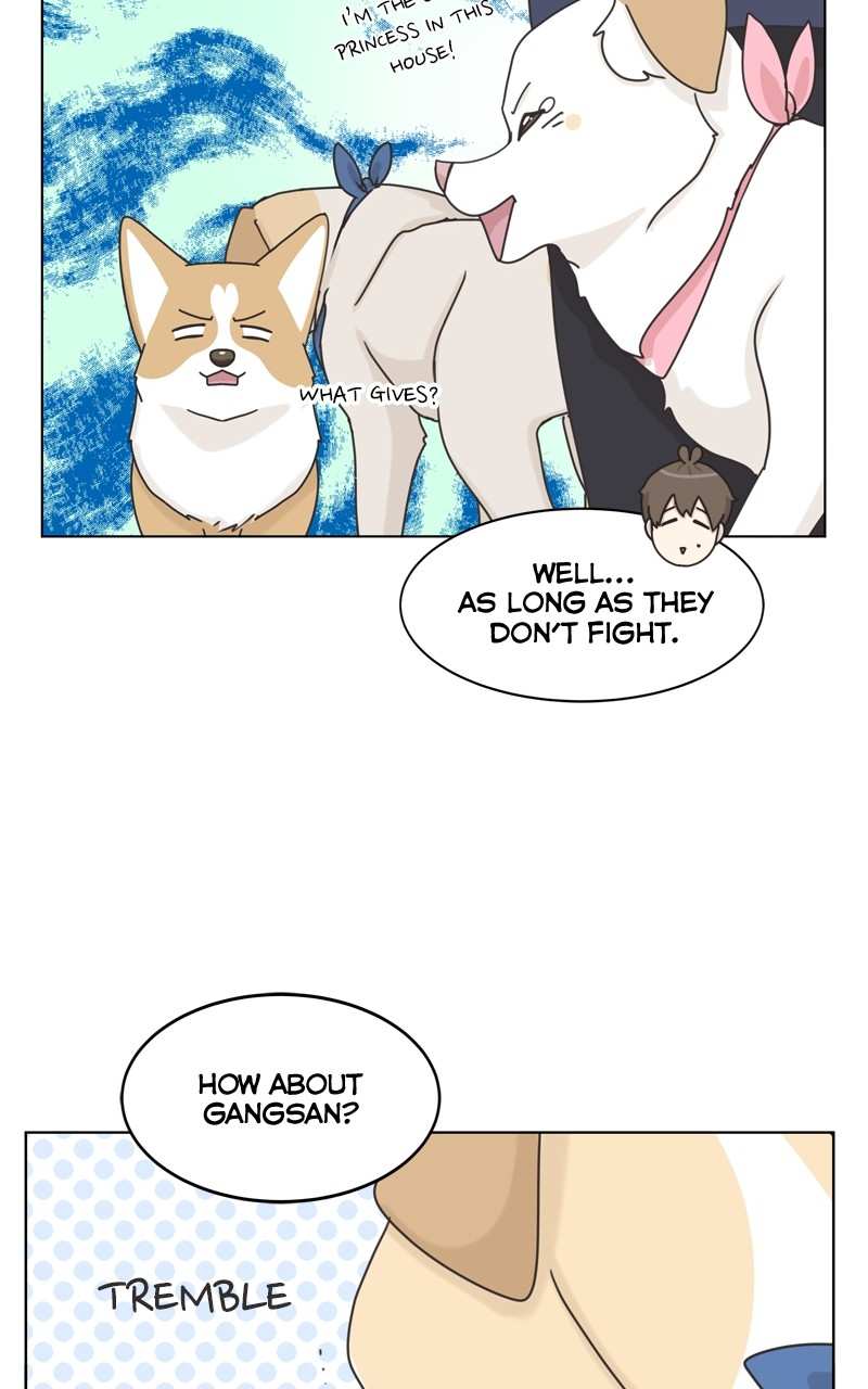 The Dog Diaries Chapter 115 - page 34