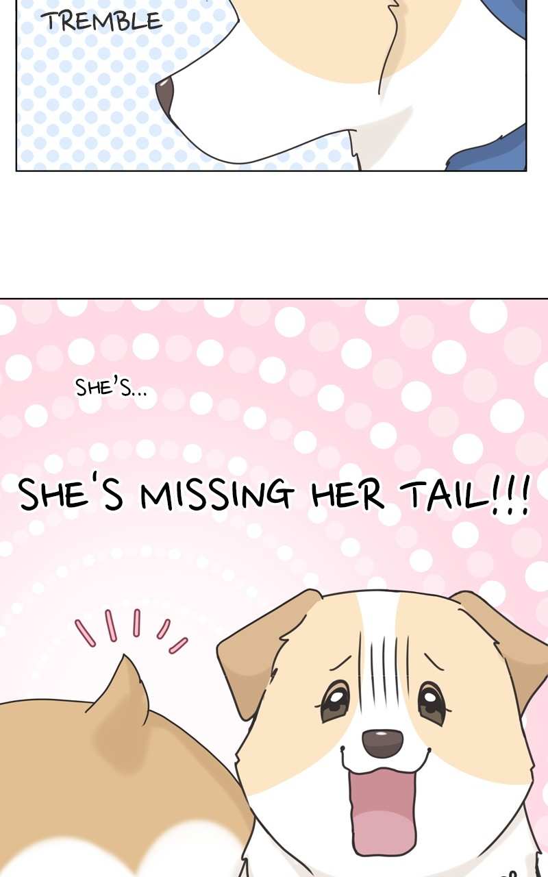The Dog Diaries Chapter 115 - page 35