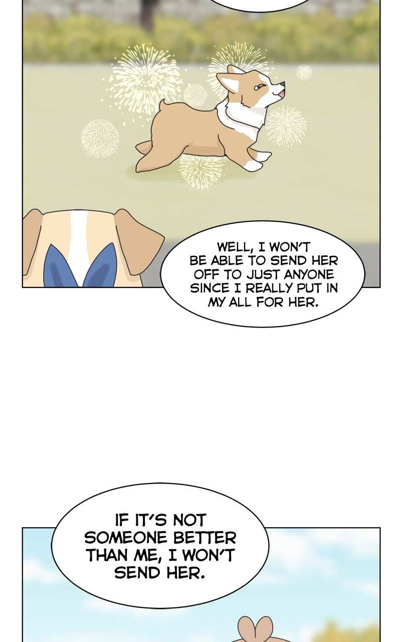 The Dog Diaries Chapter 115 - page 45