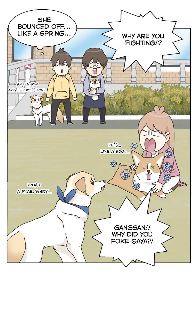 The Dog Diaries Chapter 115 - page 53