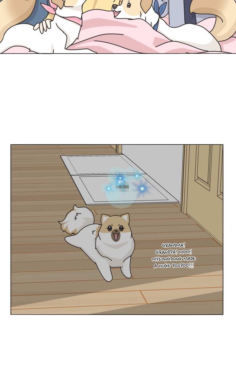 The Dog Diaries Chapter 115 - page 78