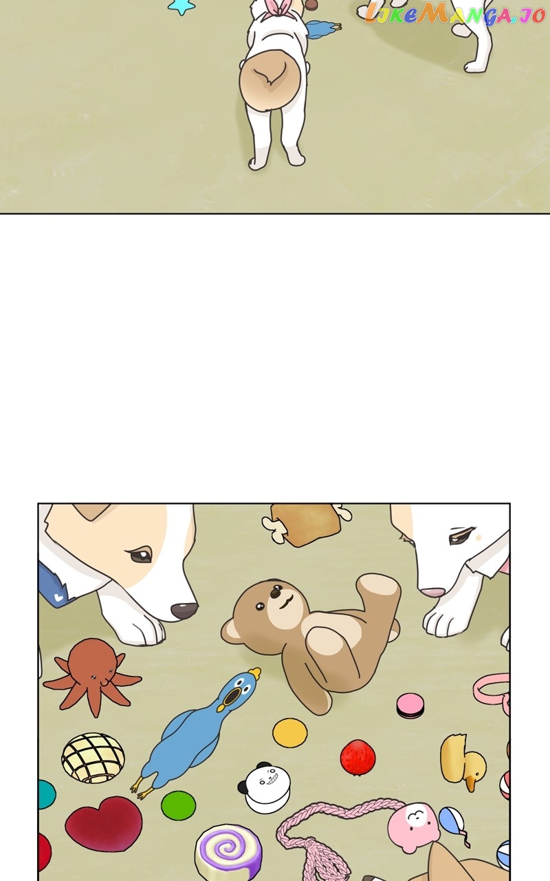 The Dog Diaries Chapter 116 - page 34