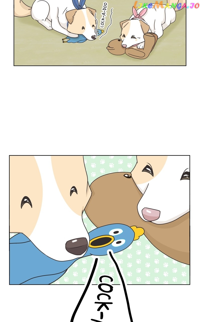 The Dog Diaries Chapter 116 - page 38