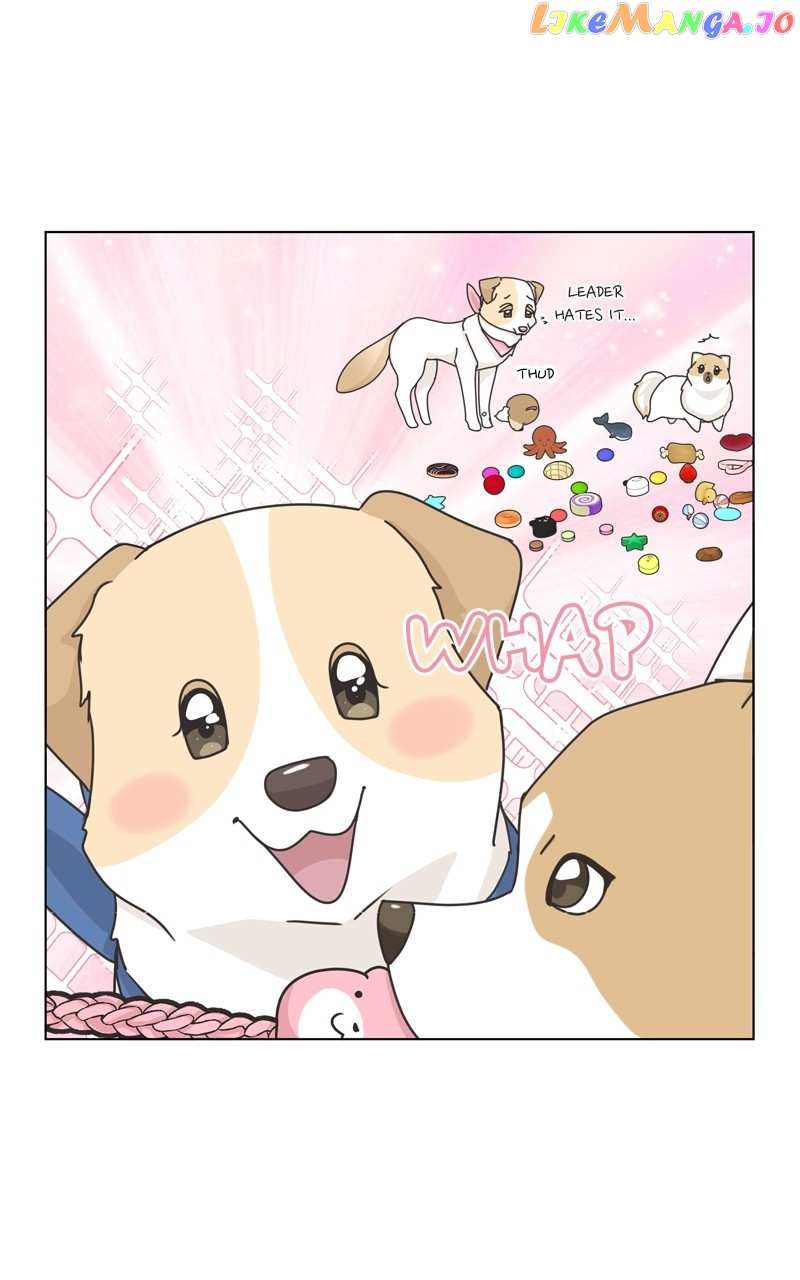 The Dog Diaries Chapter 116 - page 43