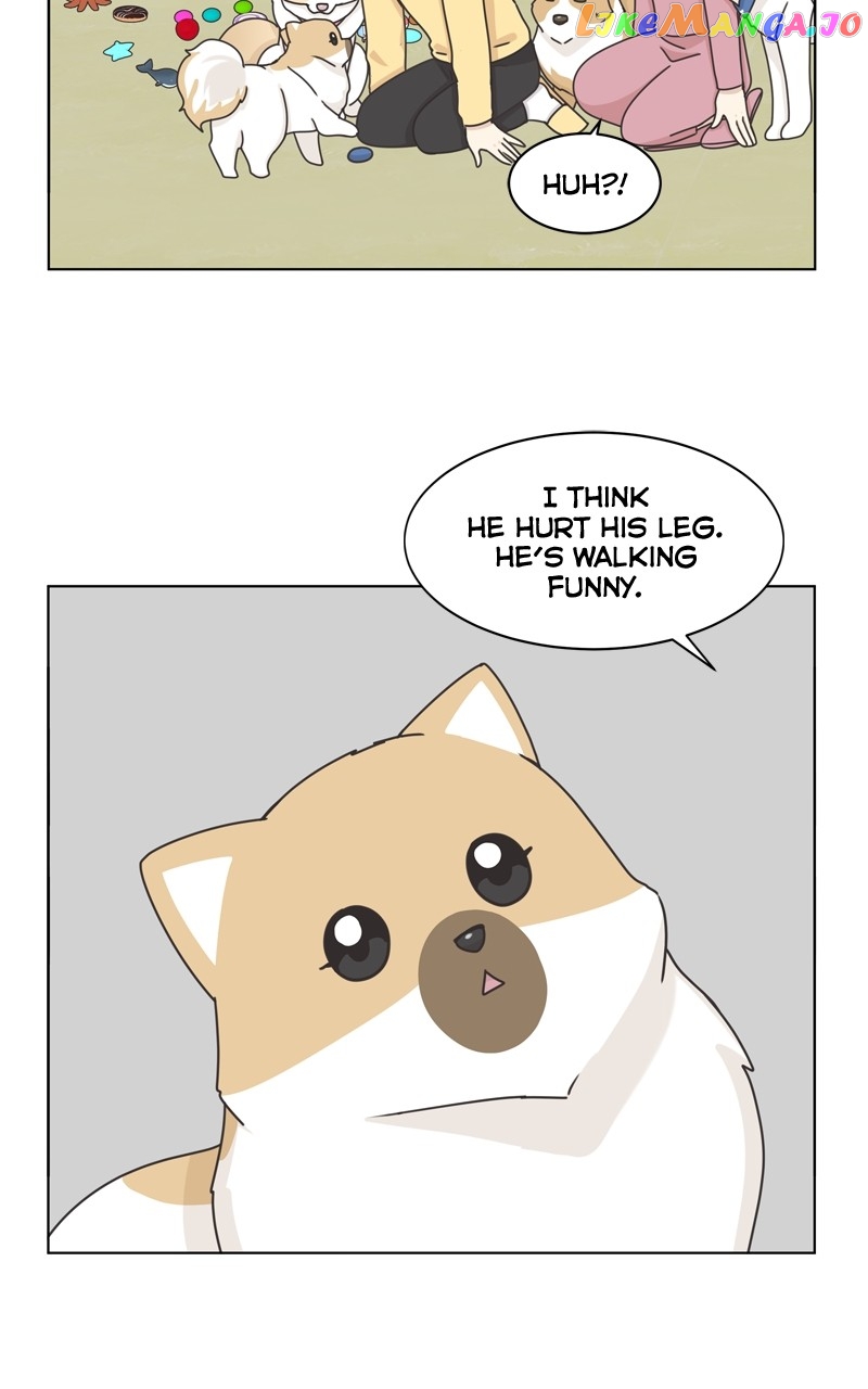 The Dog Diaries Chapter 116 - page 60