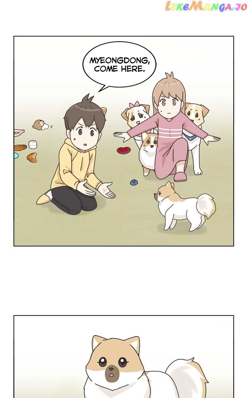 The Dog Diaries Chapter 116 - page 61