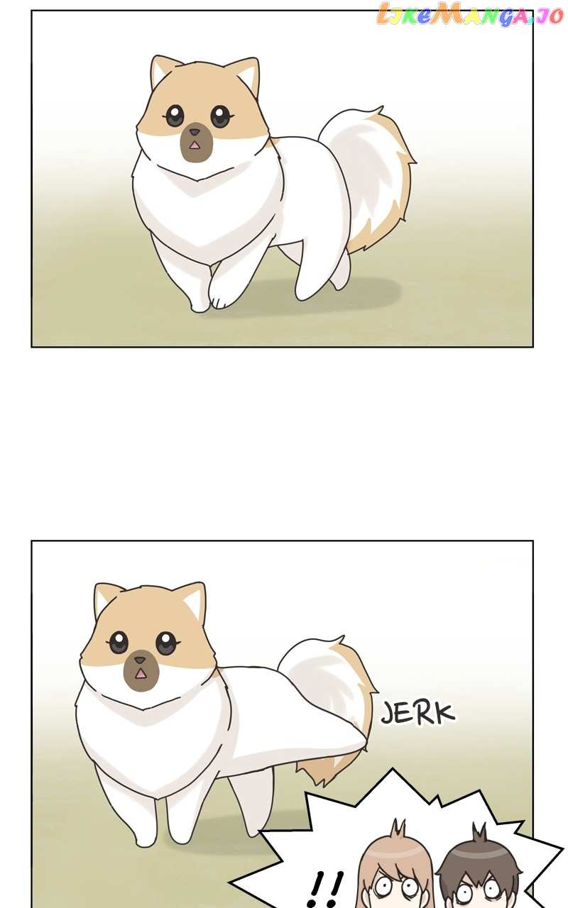 The Dog Diaries Chapter 116 - page 63