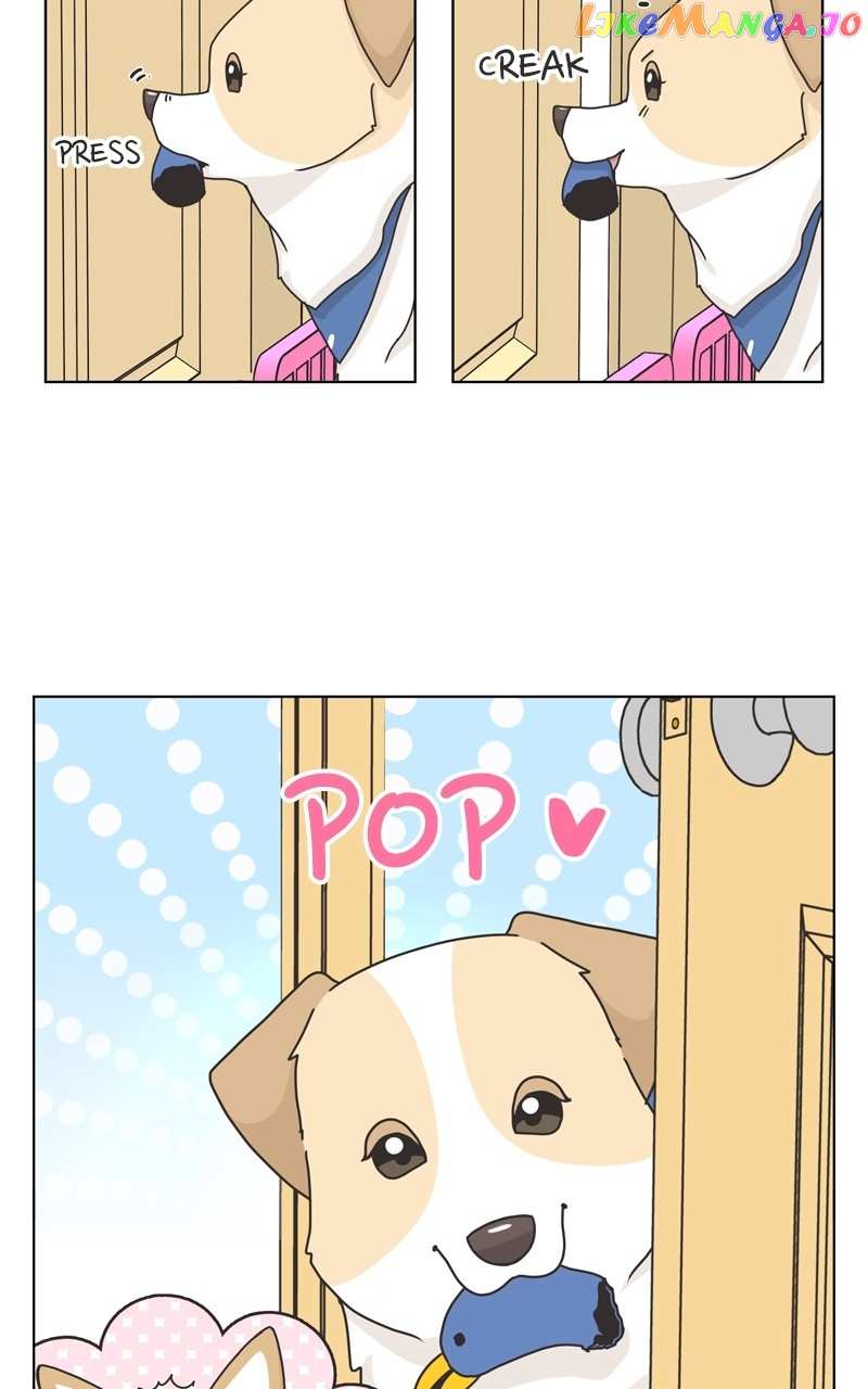 The Dog Diaries Chapter 117 - page 30
