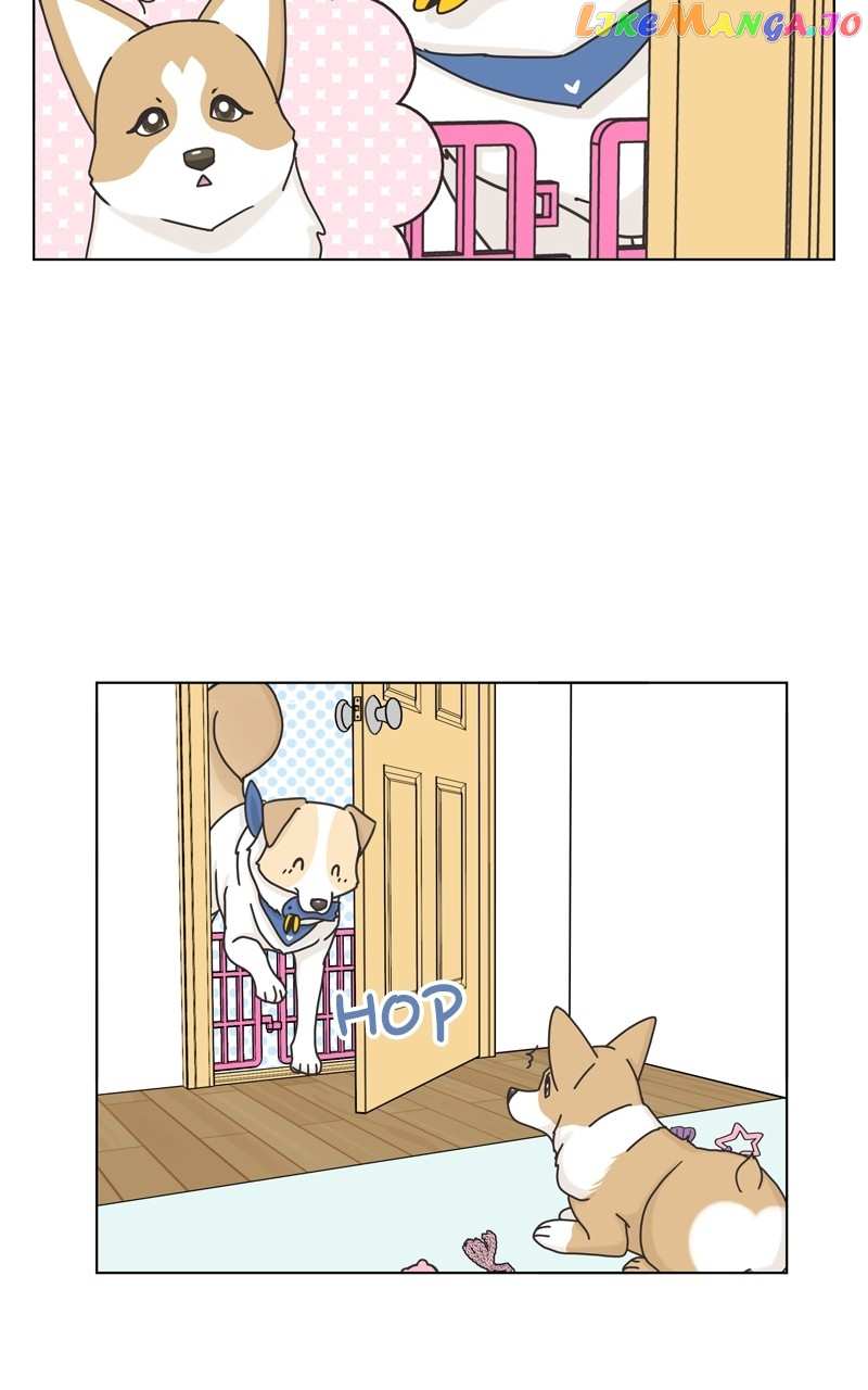 The Dog Diaries Chapter 117 - page 31