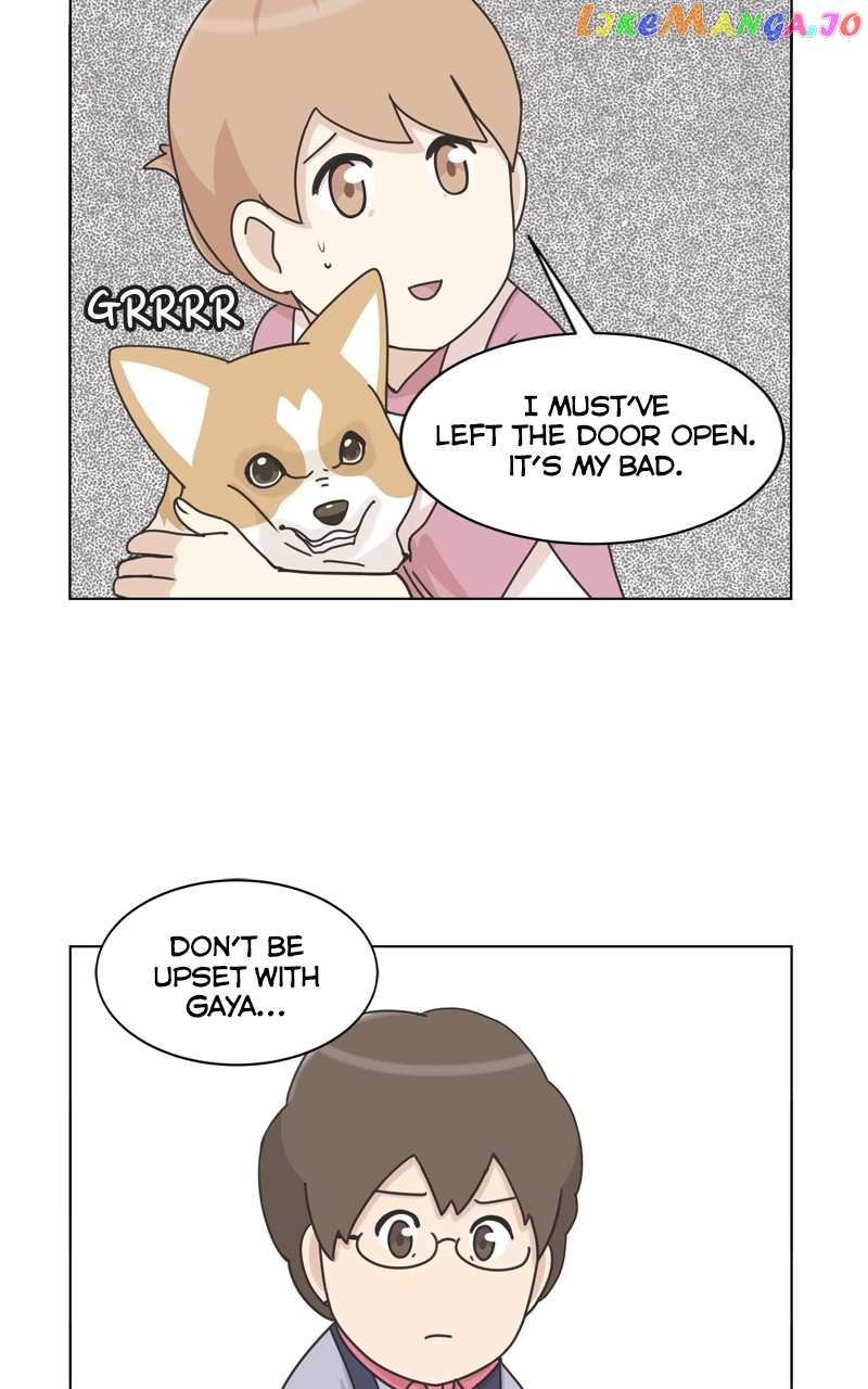 The Dog Diaries Chapter 117 - page 47