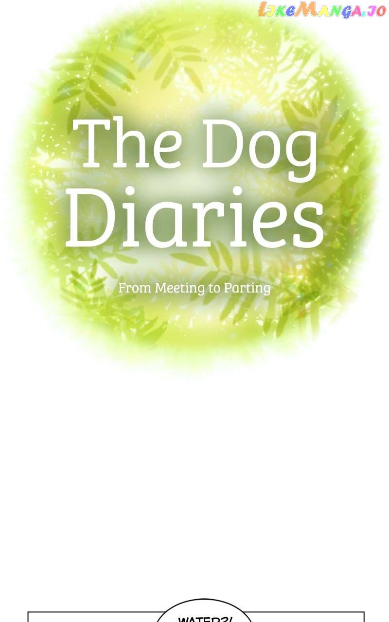The Dog Diaries Chapter 117 - page 9