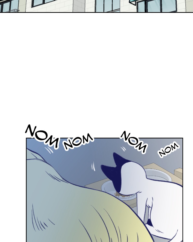 Nice to Meet You (Webtoon) Chapter 18 - page 104