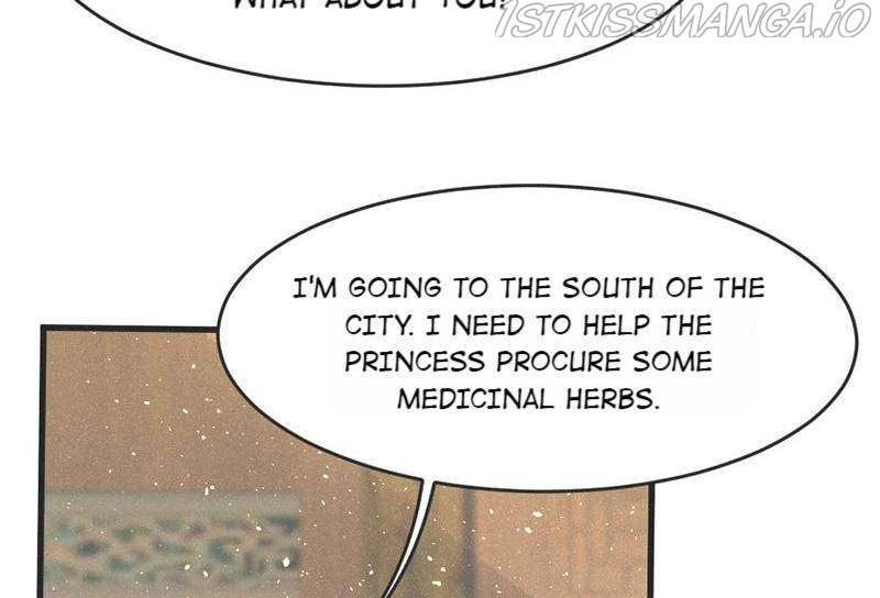 The Princess Doctor’s Revenge Chapter 47 - page 11