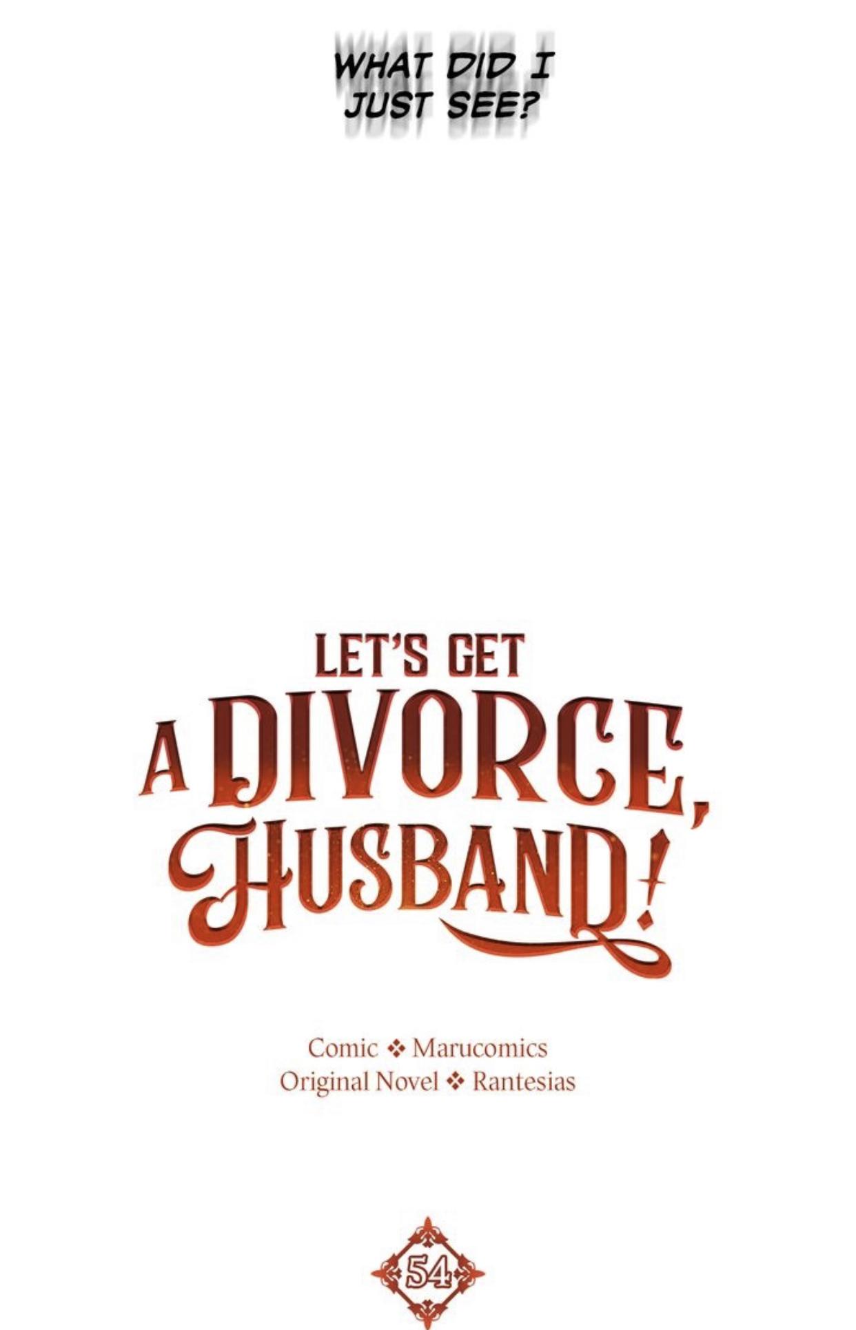 Divorce Me, Husband! chapter 54 - page 45