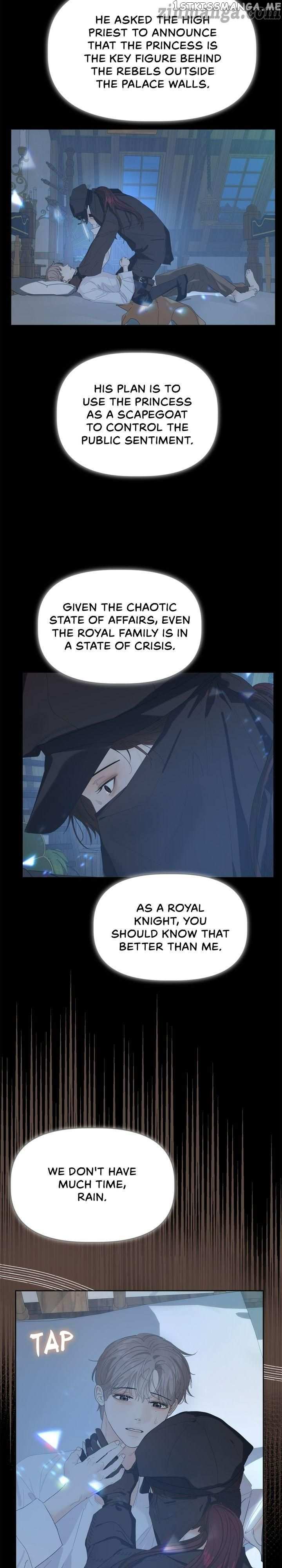 The Princess After The Revolution chapter 32 - page 19