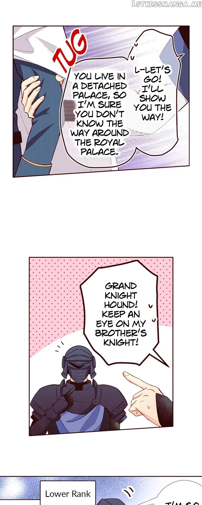 Grand Master Knight Has Become the Princess Chapter 31 - page 29