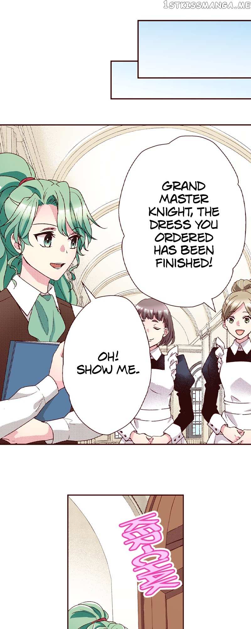 Grand Master Knight Has Become the Princess Chapter 29 - page 25