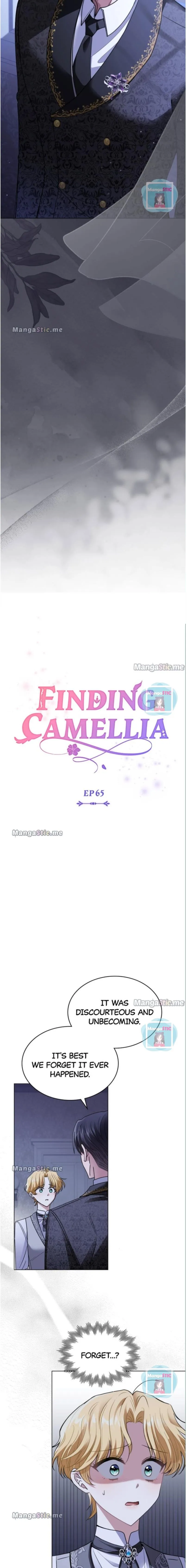 Finding Camellia Chapter 65 - page 4