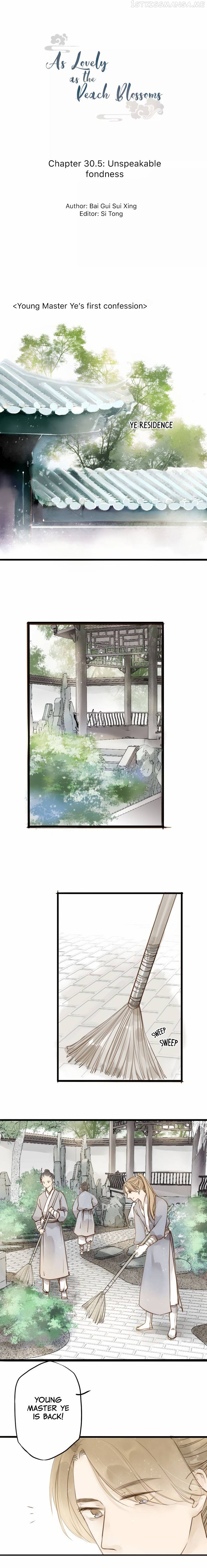 As Lovely as the Peach Blossoms chapter 30.5 - page 1