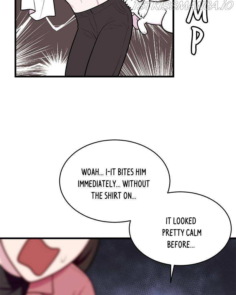 She Bites! Chapter 25 - page 17
