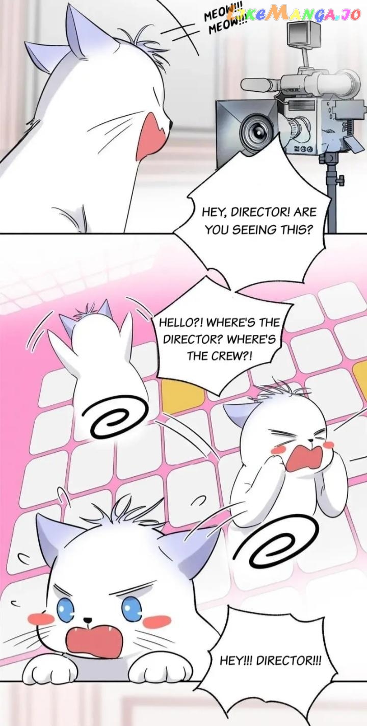 I Have To Work Hard As A Cat Today Chapter 39 - page 26