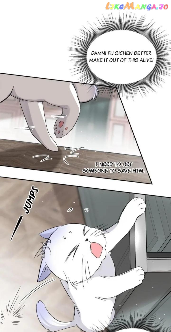 I Have To Work Hard As A Cat Today Chapter 39 - page 29