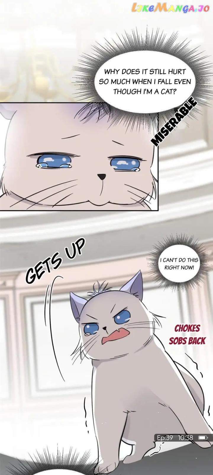 I Have To Work Hard As A Cat Today Chapter 39 - page 33