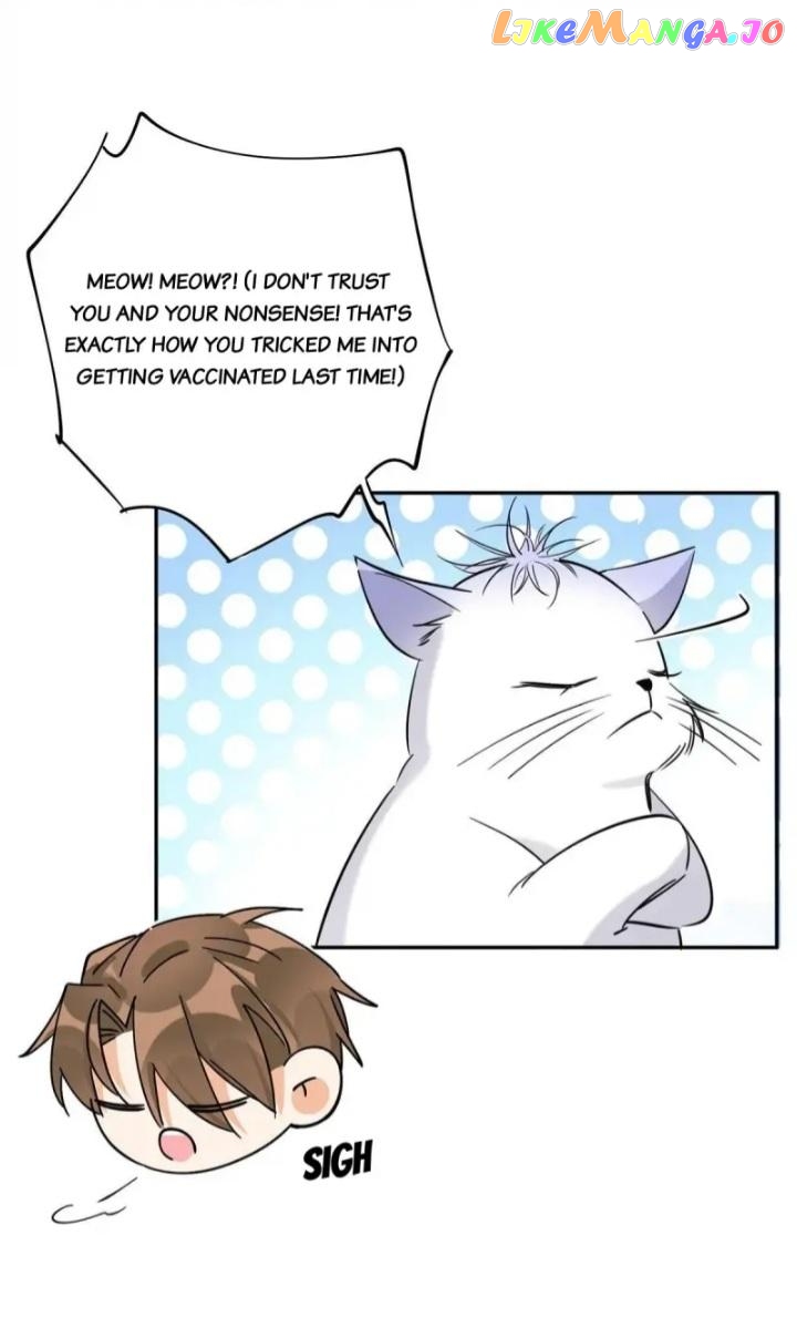 I Have To Work Hard As A Cat Today Chapter 36 - page 3
