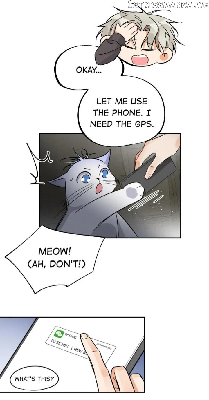I Have To Work Hard As A Cat Today Chapter 26 - page 33