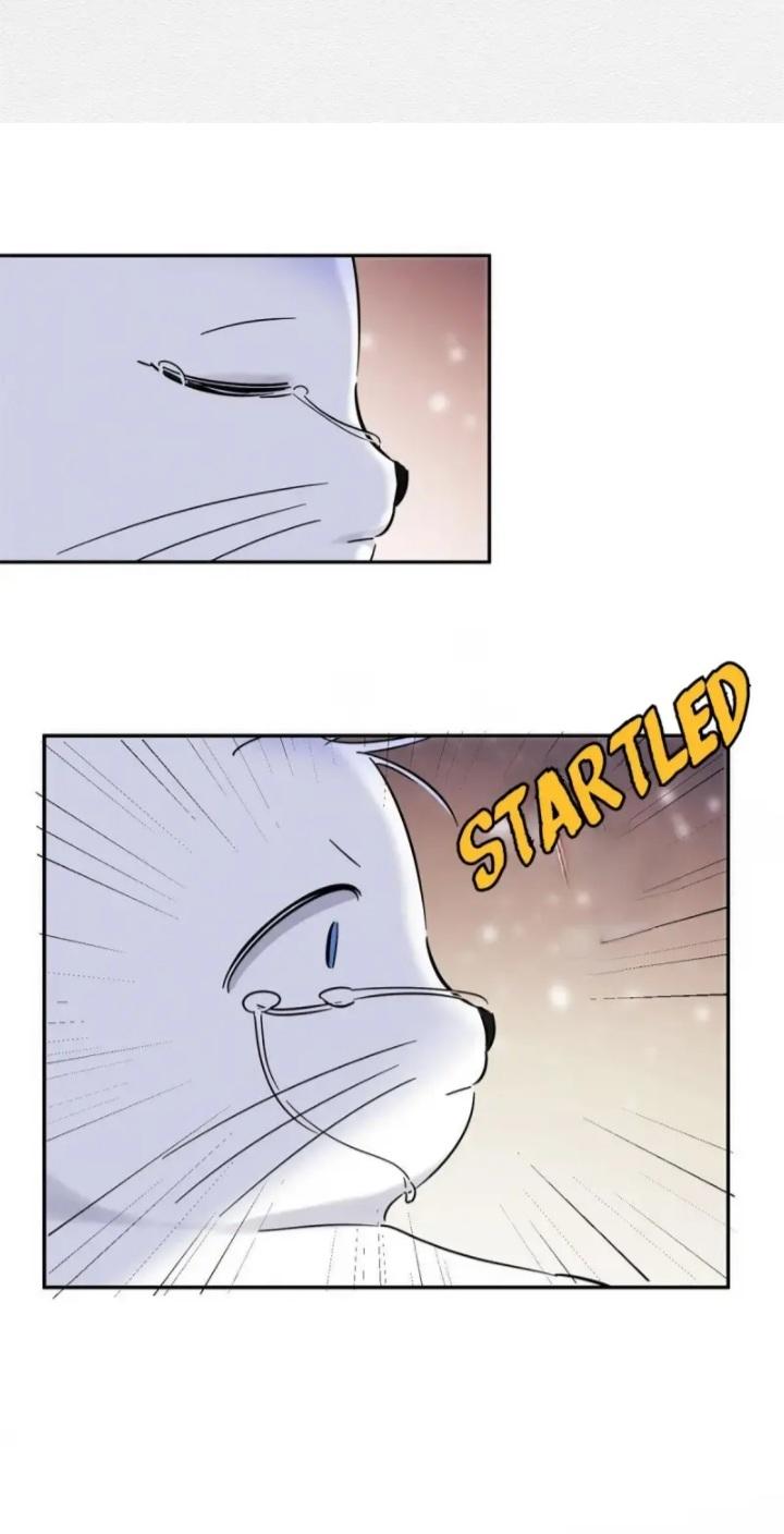 I Have To Work Hard As A Cat Today Chapter 44 - page 16