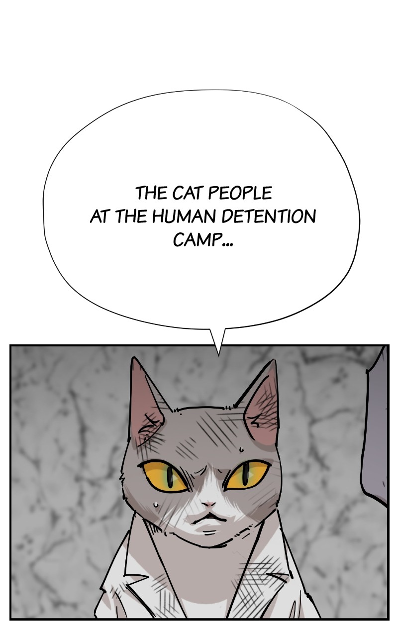 Meow Rangers Chapter 77 - page 25