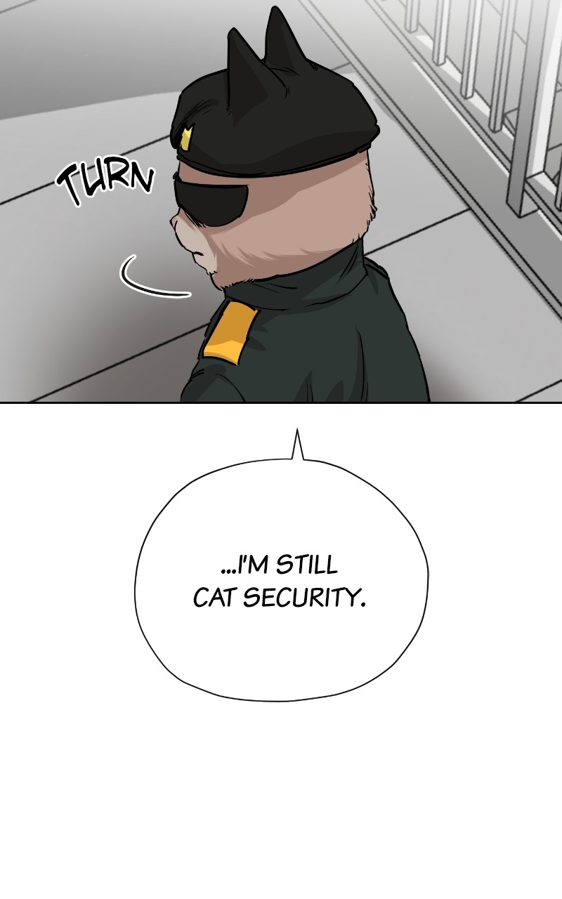 Meow Rangers Chapter 69 - page 12