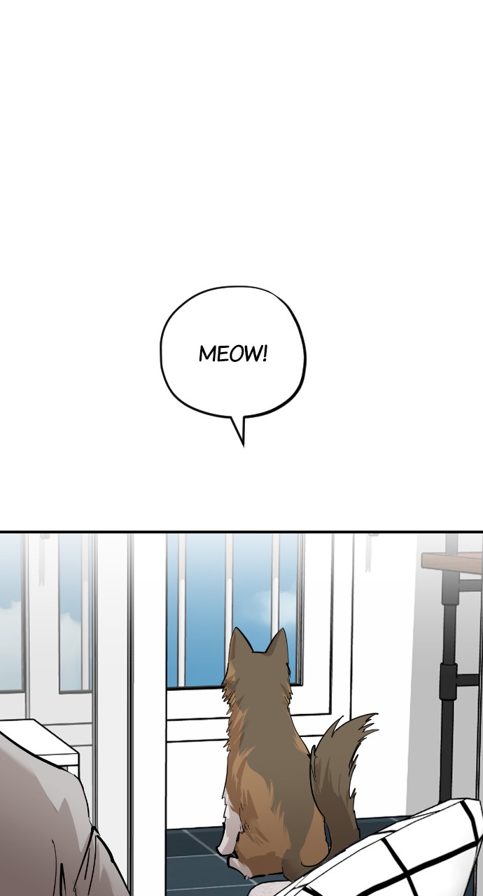 Meow Rangers Chapter 56 - page 17