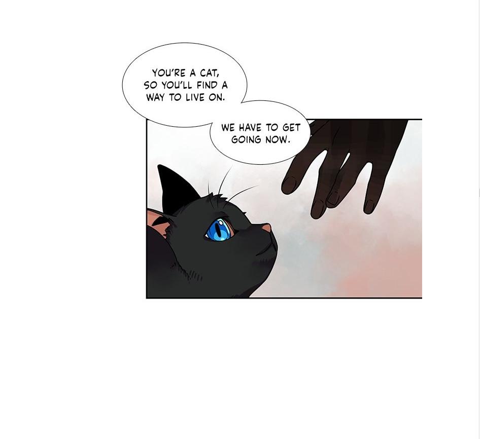 The Chef Hides His Blessing Chapter 37 - page 34