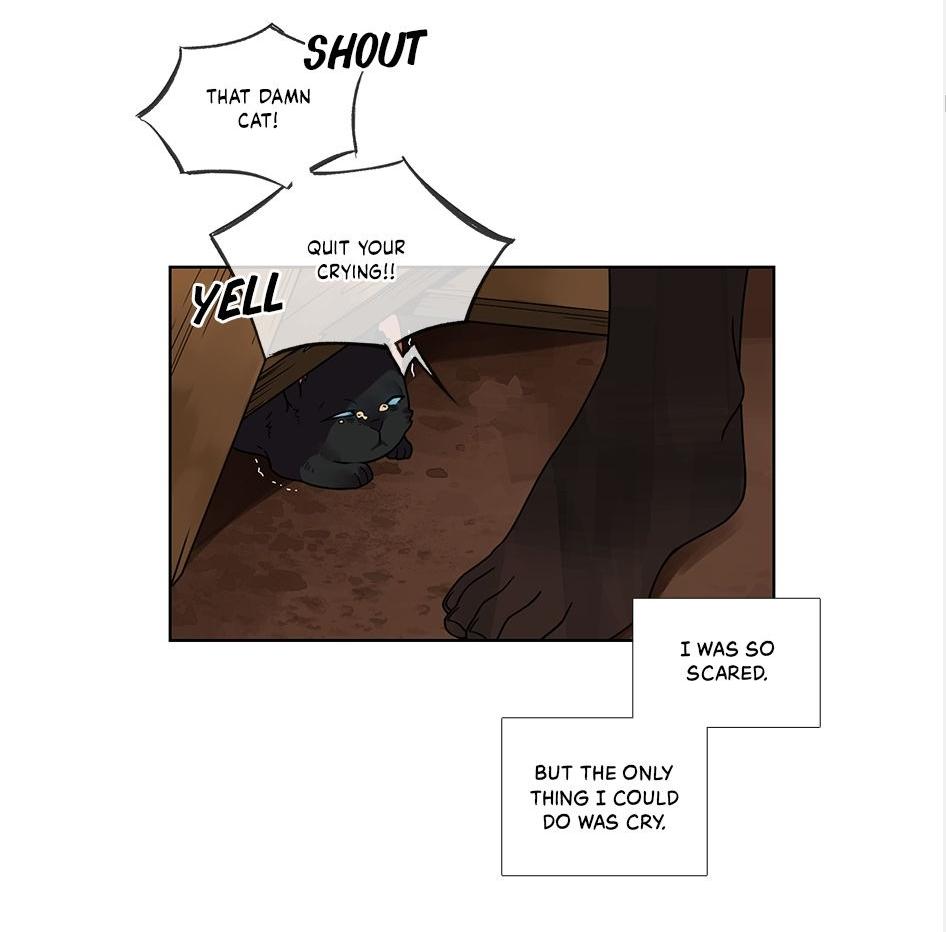The Chef Hides His Blessing Chapter 37 - page 8