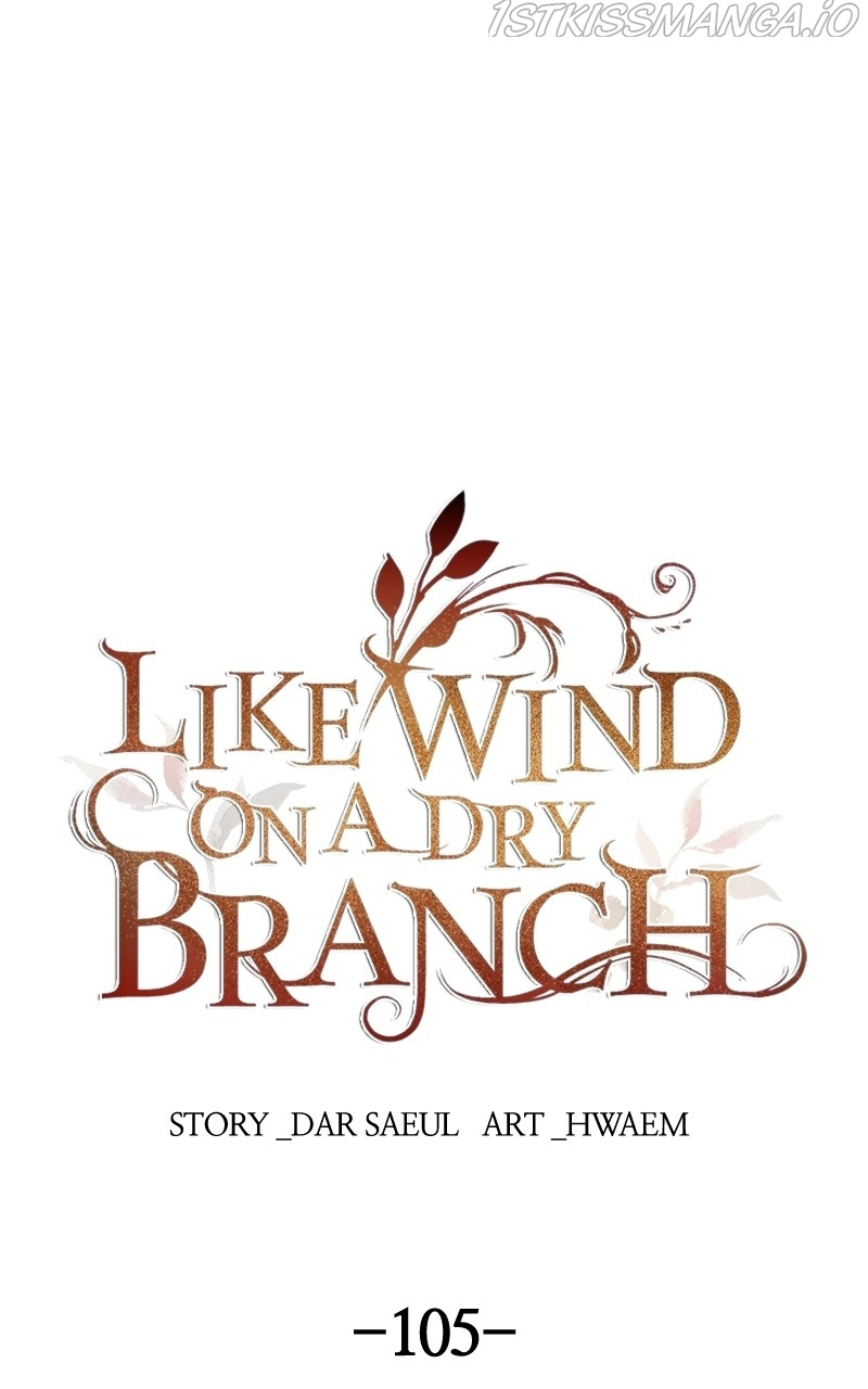 Like A Wind On A Dry Branch chapter 105 - page 1