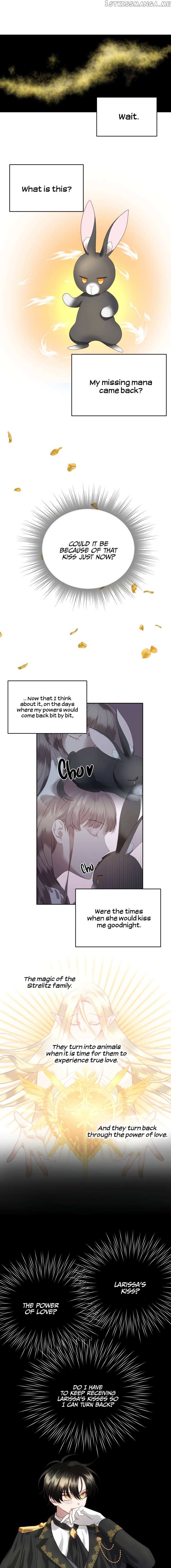 The Fake Princess’ OP Bunny chapter 9 - page 6