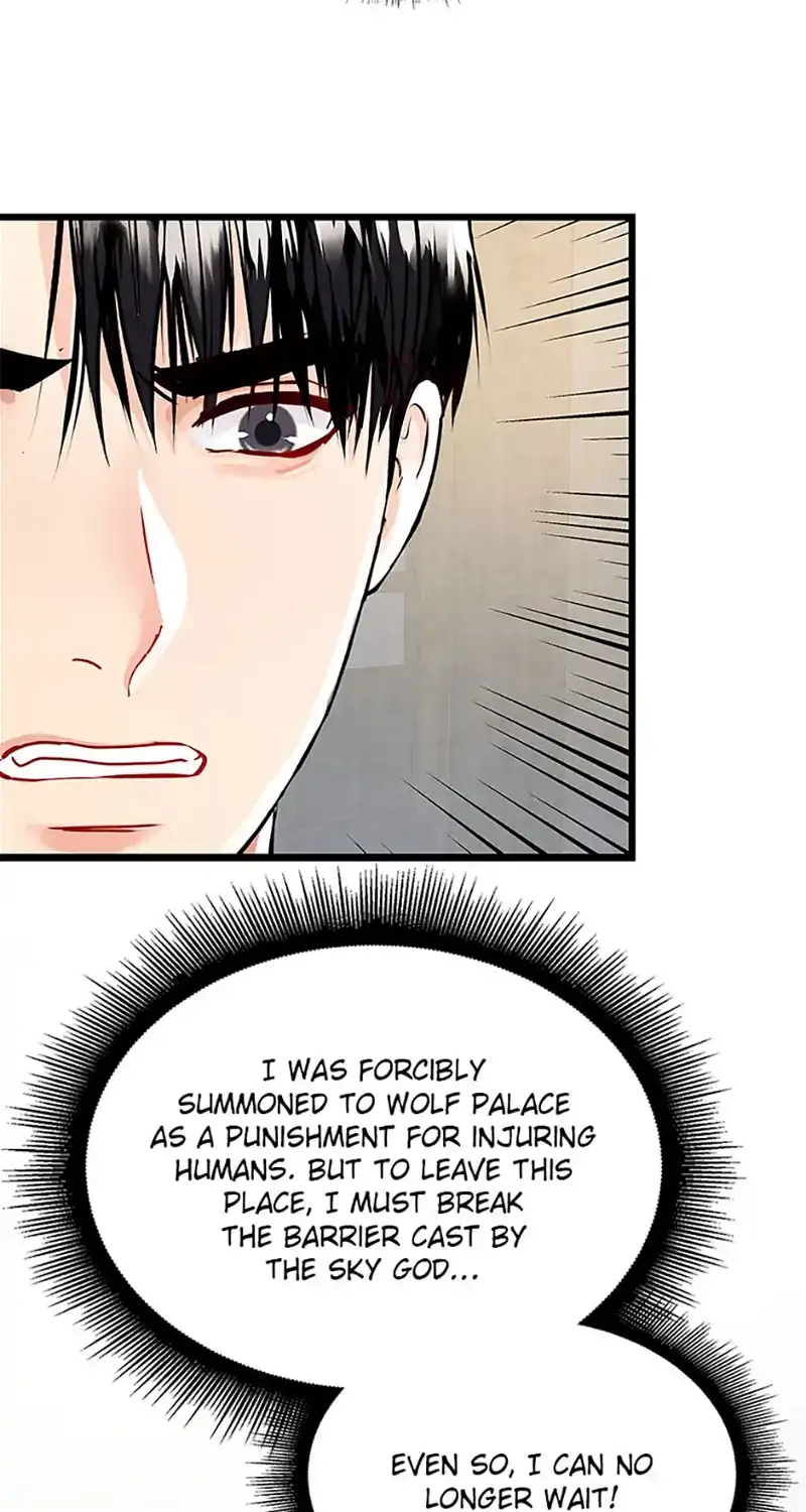 Heilang: The Bride Of The Black Wolf chapter 44 - page 79