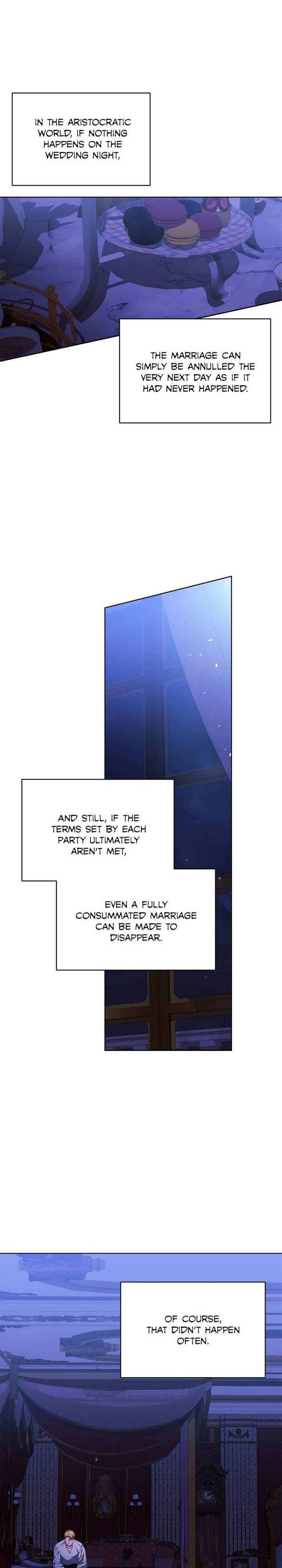 The Broken Ring : This Marriage Will Fail Anyway Chapter 17 - page 2
